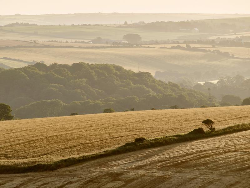 Increased carbon inputs into the soil could slow down climate change and at the same time increase crop yields, the international research team emphasizes.