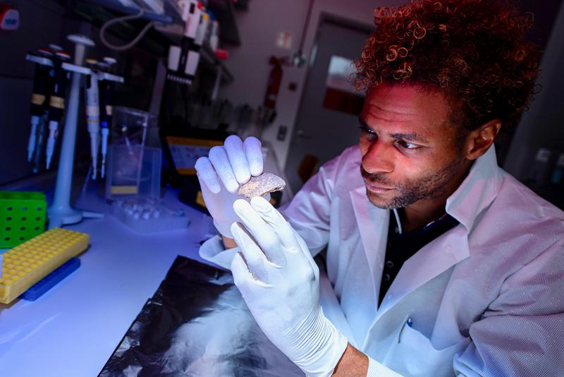 Diyendo Massilani durchsuchte die Genome der Salkhit- und Tianyuan-Individuen auf DNA-Spuren von ausgestorbenen Homininen und wurde fündig.