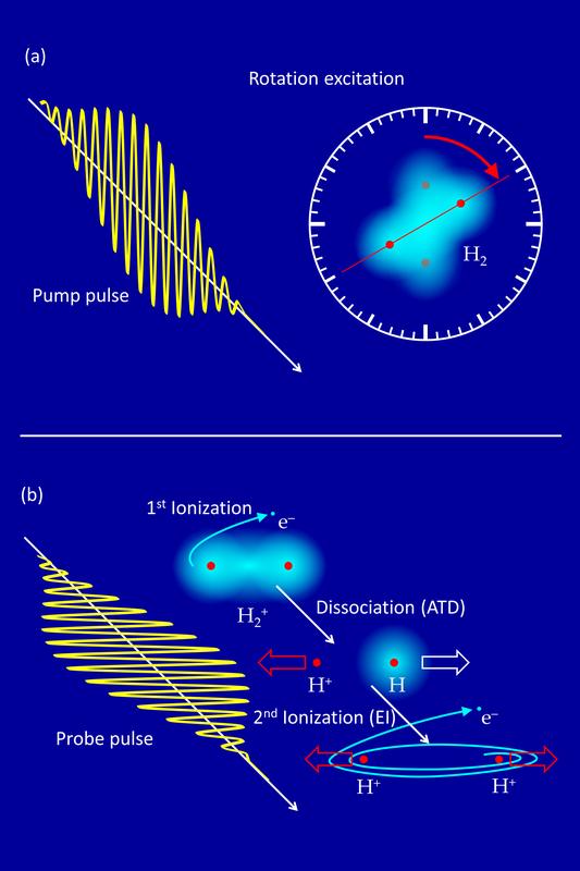 Fig. 1: (a) Rotational excitation of H2 in the pump pulse: starting the "internal clock". (b) The two possible mechanisms of molecular cleavage (ATD and EI) in the probe pulse and detection of the fragments.