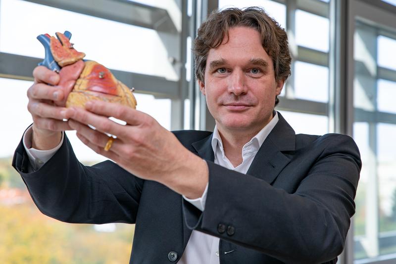 Professor Dr. Christian Wahl-Schott mit einem Modell des menschlichen Herzens.