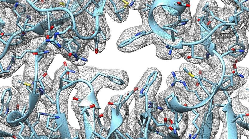 Die Abbildung zeigt einen Ausschnitt aus der Struktur des bakteriellen mechanosensitiven Kanals YnaI. Zu sehen ist ein Portal, das Salzionen passieren müssen.