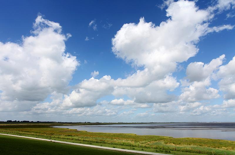 Was wissen wir über Klima, Klimawandel und deren Auswirkungen in Norddeutschland? Antworten gibt das neue Handbuch. 