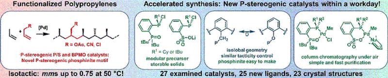 Katalysatoren für isotaktische polare Polypropylene