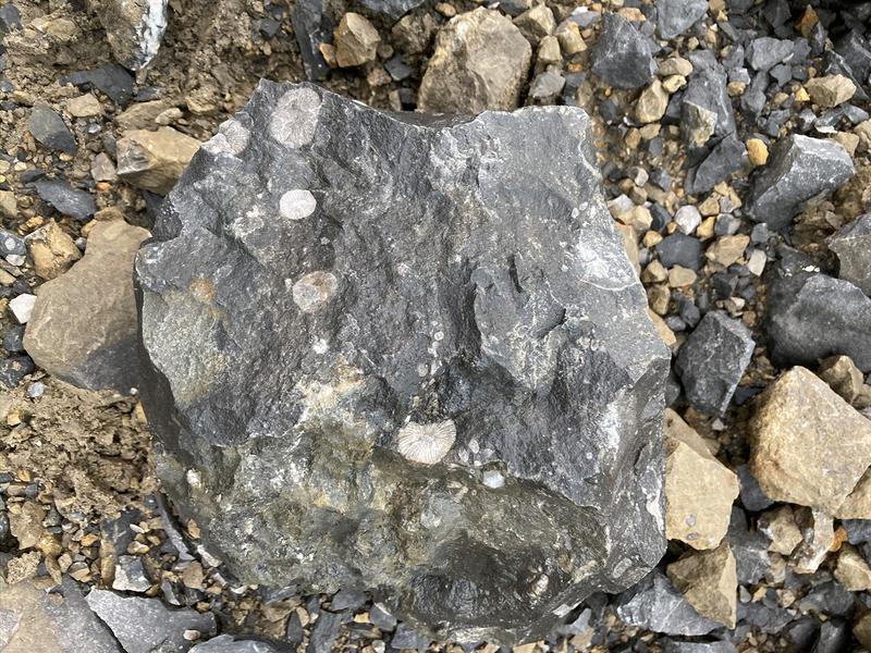 Die geophysikalischen Eigenschaften der Gesteine bestimmen ihre Anwendung. 