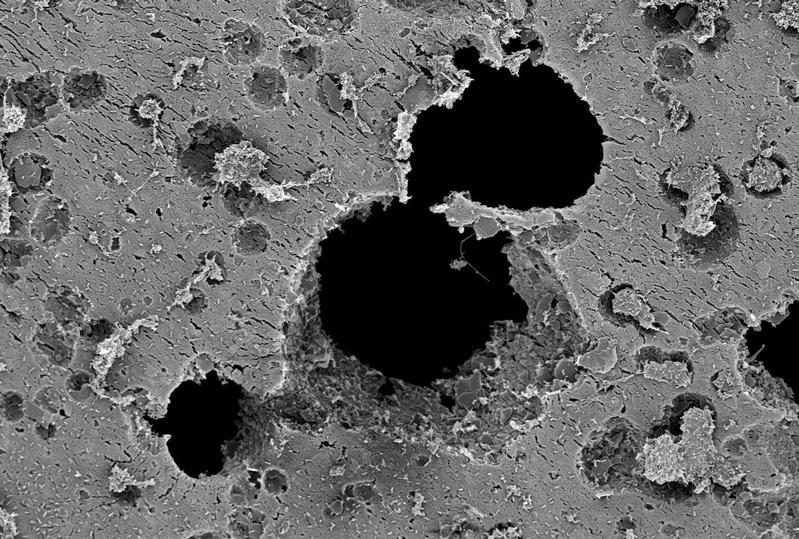 Elektronenmikroskopische Aufnahme von durch bakteriellem Abbau entstandenen Löchern (schwarz) im Plastik