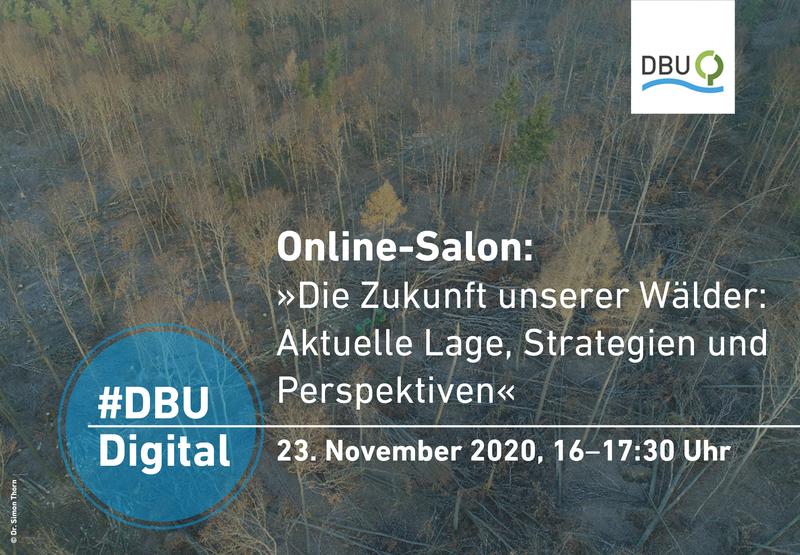 Im Krisenmodus: Die Wälder stehen vor einer unsicheren Zukunft, der Klimawandel hat die Forstwirtschaft fest im Griff. Ein DBUdigital-Online-Salon am Montag, 23. November, lotet Lösungswege aus.