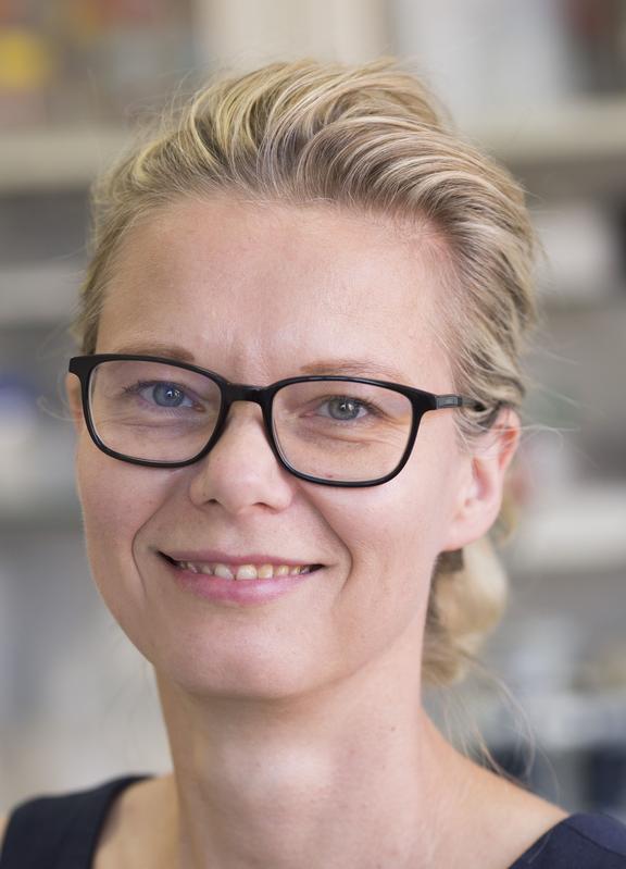 Prof. Dr. Antje Körner