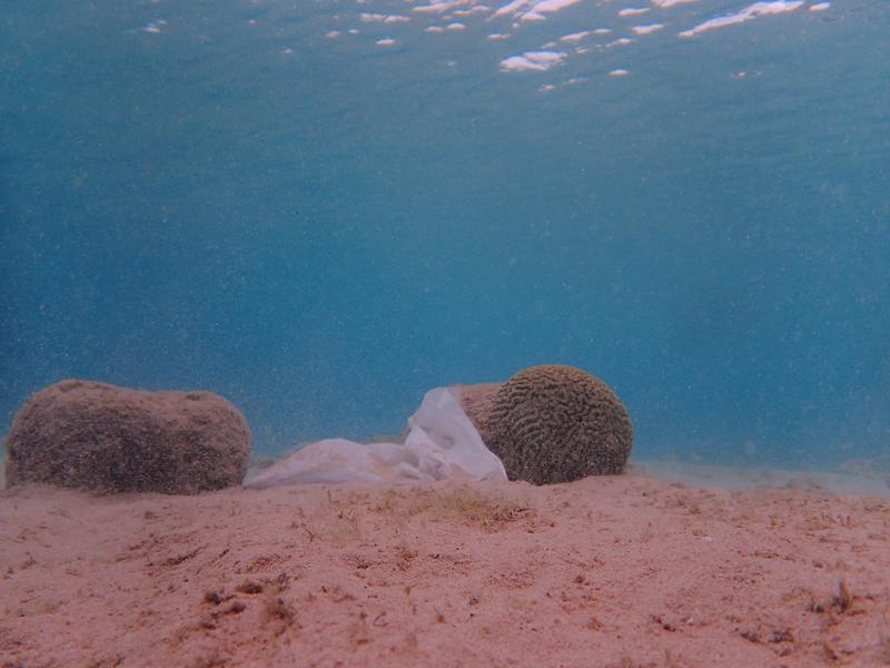 Plastik zwischen Korallen auf dem Meeresgrund vor Curacao