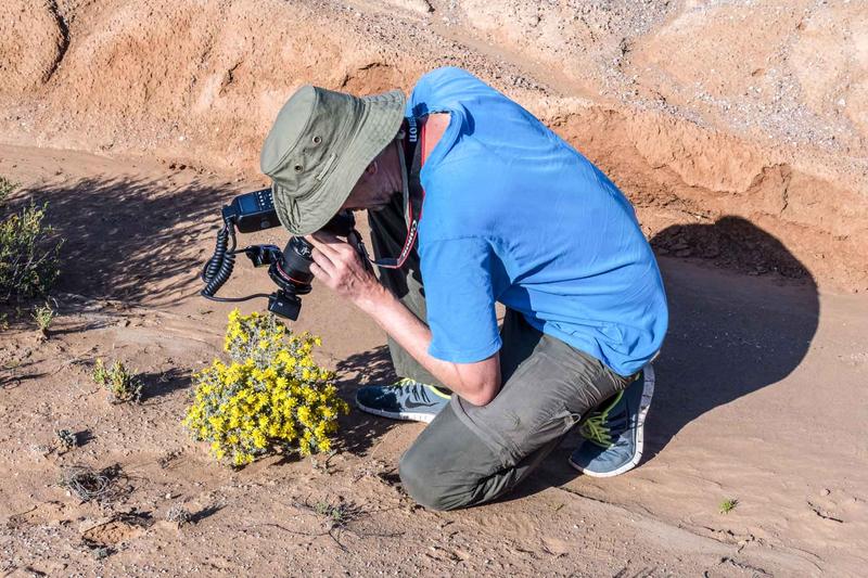 Dr Martin Freiberg constantly searches for new plant species, not only through modern genome sequencing but also in nature. 