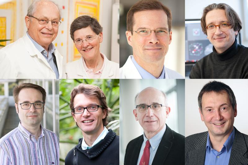 „Highly Cited Researchers“ der Universität Ulm: (oben v.l.) Prof. H. Braak und Dr. Dr. K. Del Tredici-Braak, Prof. S. Stilgenbauer sowie Prof. F. Jelezko; (unten v.l.) Prof. M. Plenio, Prof. S. Jansen, Prof. H. Döhner und Prof. S. Grissmer