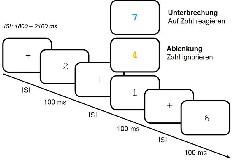 Die Probanden sollten per Tastendruck entscheiden, ob die vorangegangene Zahl gerade oder ungerade war. Zusätzlich wurden orange und blaue Zahlen präsentiert. Diese sollten entweder ignoriert werden oder erforderten auch eine gerade/ungerade Entscheidung.