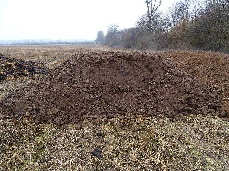 Chicken manure stored in the field