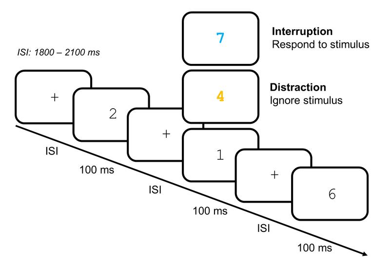 Participants had to decide whether the preceding number was odd or even by pressing a key. Additionally, numbers in orange and blue were presented. These numbers had to either be ignored or again required an odd/even decision.