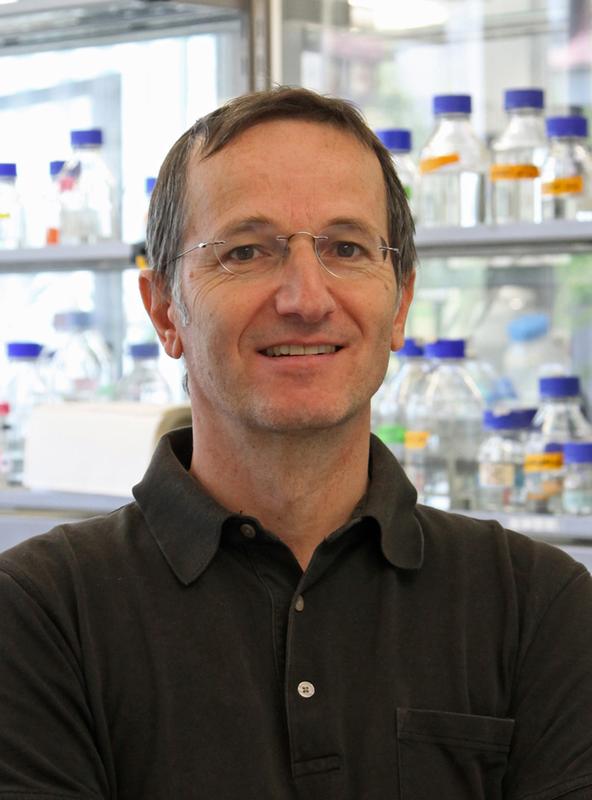 Prof. Dr. Thomas Brabletz, Lehrstuhl für Experimentelle Medizin I mit dem Schwerpunkt Pathogeneseforschung der FAU.