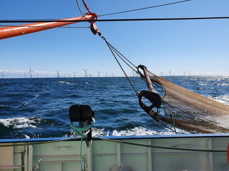 Baumkurre im Einsatz in der Nordsee: Das Projekt Mobile Grundberührende Fischerei (MGF) Nordsee untersucht den Einfluss der Fischerei auf Meeresschutzgebiete in der deutschen Ausschließlichen Wirtschaftszone (AWZ) der Nordsee. 