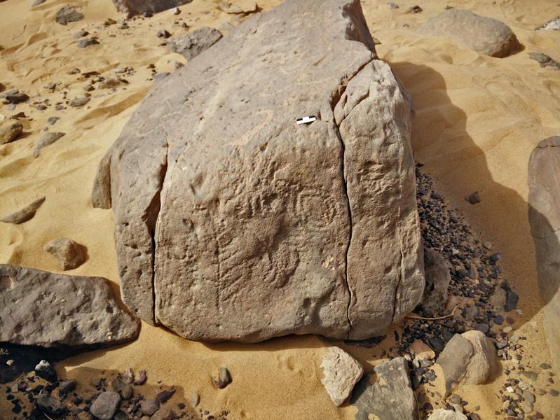 The rock inscription with the four hieroglyphs: "Domain of the Horus King Scorpion". 