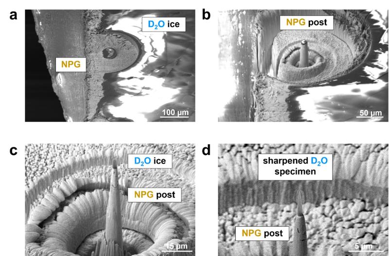 Scanning electron images of in situ APT specimen preparation of an ice sample on nanoporous gold. 