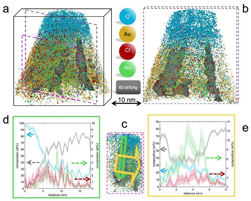 Three-dimensional reconstruction and analysis of the interface between the nanoporous gold substrate and the NaCl-containing ice. 