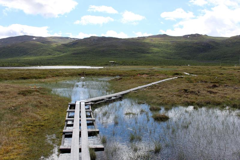 Permafrost areas thaw out and become marshland.