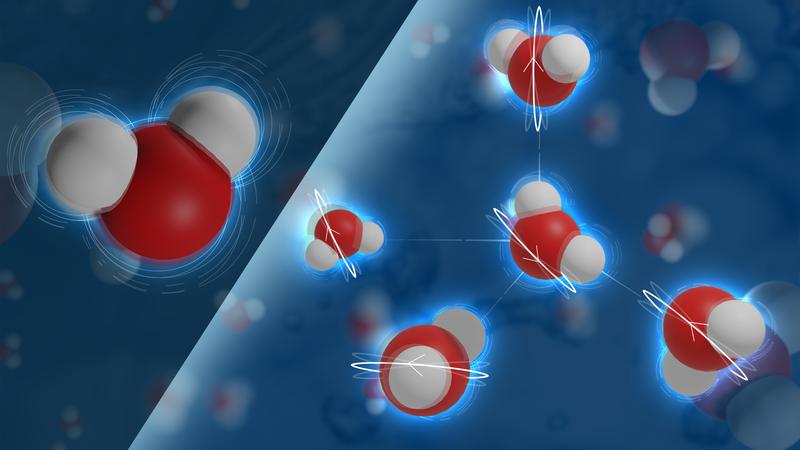 Water molecules can absorb energy from light, which results in a bending of the molecule. However, to transfer energy from one molecule to the other, the bending motion must first be converted into a rotation of the same molecule.