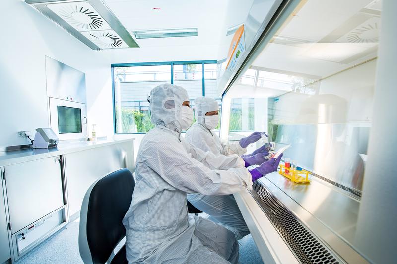 Im GMP-Labor der Medizin 5 werden die neuen CAR-T-Zellen für die vom BMBF geförderte Studie selbst hergestellt. 