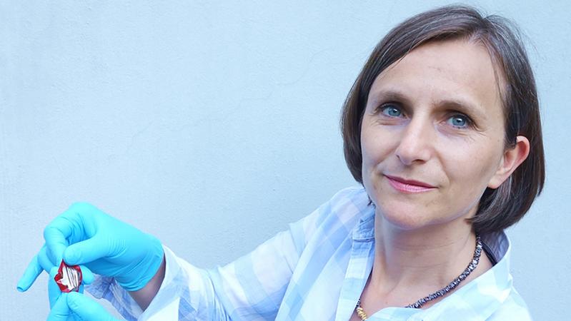 Piezoelektrische Gummis, die Strom erzeugen können, sind eines der Anwendungsgebiete von Dorina Opris's Polymerforschung.