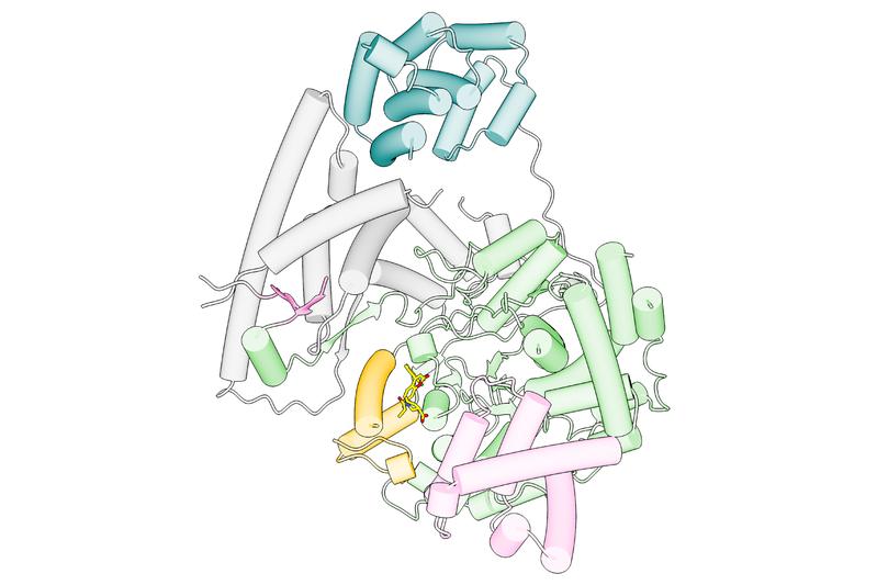 Cartoon representation of the POLRMT-Inhibitor complex.