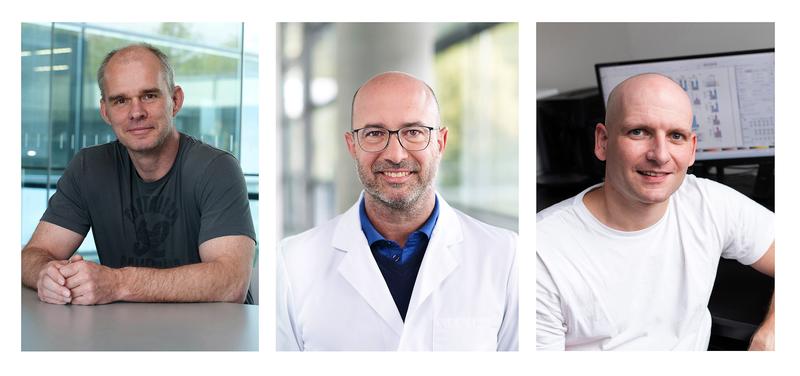 Die Ulmer Forscher vom Institut für Molekulare Virologie (v.l.) Prof. Frank Kirchhoff (Leiter), Prof. Jan Münch und Dr. Konstantin Sparrer 