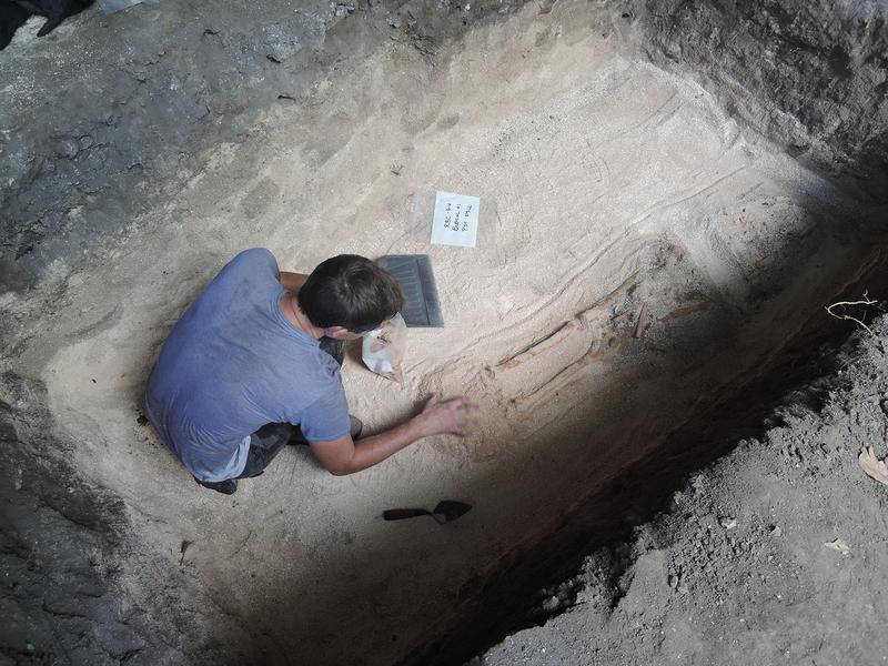 Archäologe Mike T. Carson bei der ersten Freilegung eines der Skelette.
