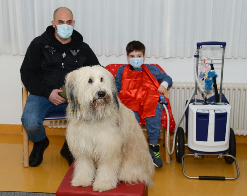 Mikail und sein Vater Haissam haben sich mit Schafpudeldame Anna angefreundet