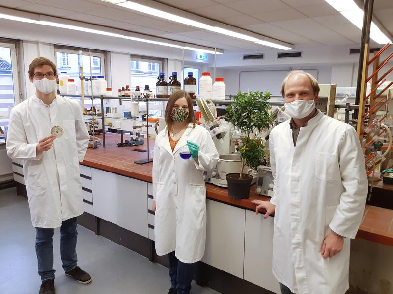 From left: Dr. René Richarz with an agar plate containing the bacterium, Cornelia Hermes with an extract obtained from the bacterium, and working group leader Dr. Max Crüsemann. A coralberry stands between the researchers.