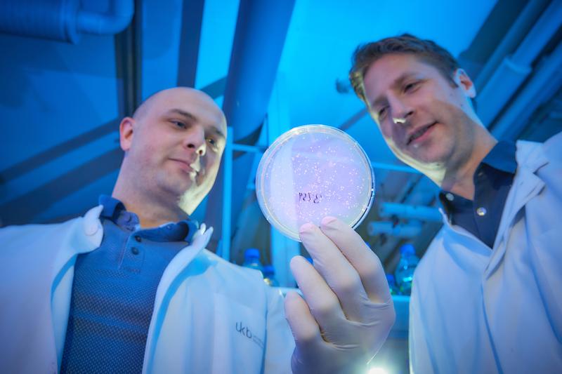 Mit Zellkultur im Labor: Dr. Paul-Albert König (links) von der Core Facility Nanobodies und Dr. Florian I. Schmidt vom Institut für Angeborene Immunität der Universität Bonn. 