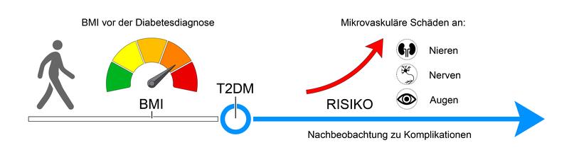 Teilnehmende der EPIC-Potsdam-Studie, die im Verlauf der Nachbeobachtung an Typ-2-Diabetes (T2DM) erkrankten und vor der Diagnose einen höheren BMI hatten, zeigten ein erhöhtes Risiko für mikrovaskuläre Komplikationen des T2DM.