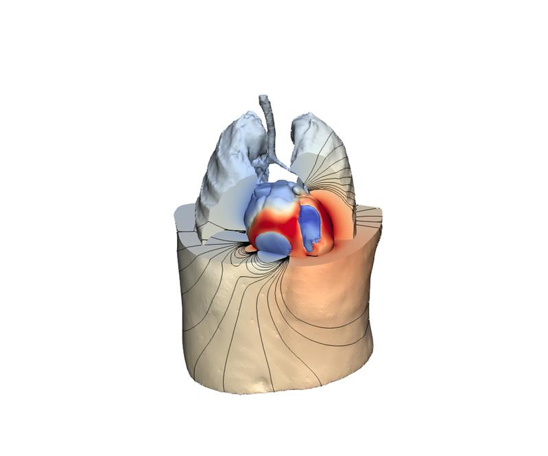 Illustration of a digital twin from a human heart.