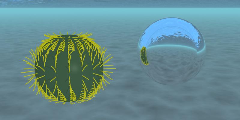 Ein durch Zilien angetriebener Mikroschwimmer (links) und eine Luftblase im Wasser (rechts).
