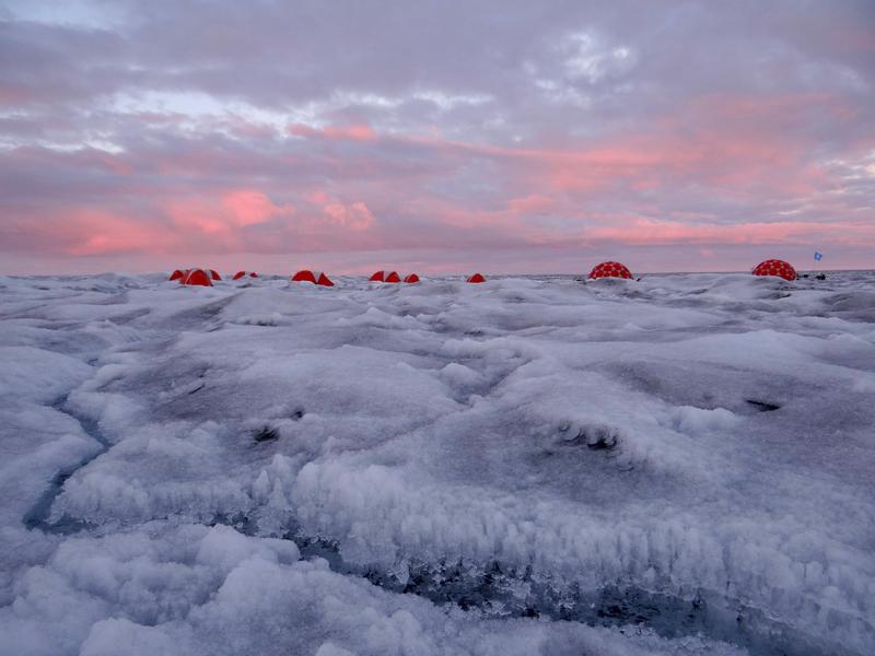 Forschungscamp in Süd-Grönland. Im Vordergrund: dunkles Eis mit Eisalgen.