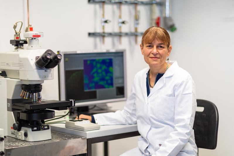 Prof. Dr. Christine Rose, Leiterin des Instituts für Neurobiologie.