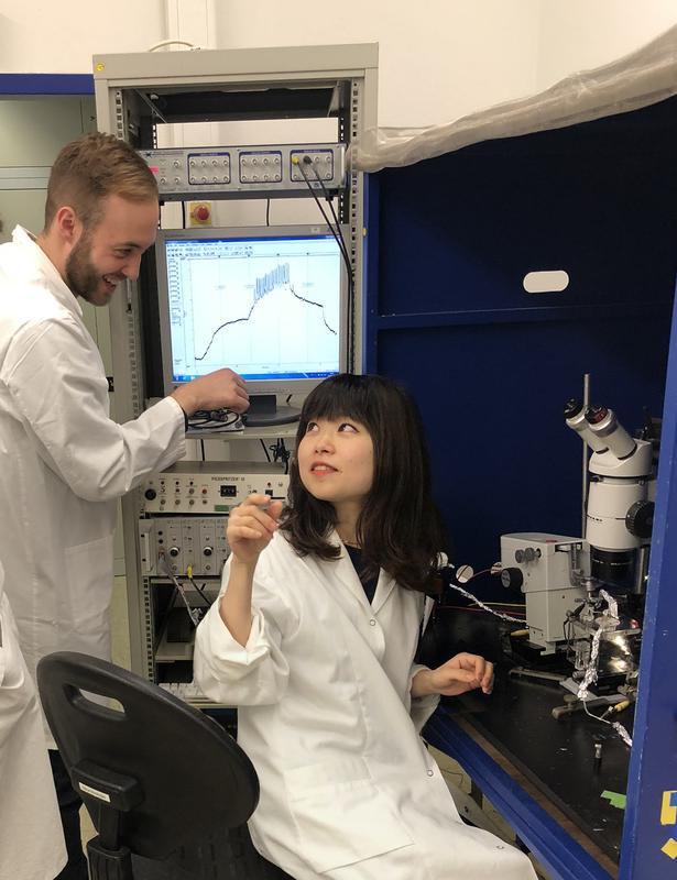 Mariko Onodera and Jan Meyer perform an experiment with potassium-sensitive microelectrodes in the Institute of Neurobiology at HHU.