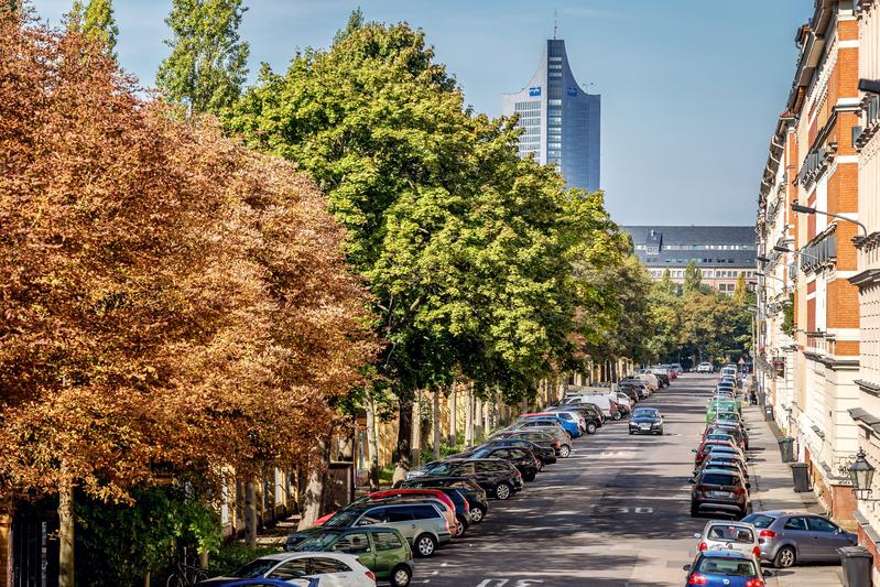 Mehr Straßenbäume in Städten (wie hier im Leipziger Stadtzentrum) können dazu beitragen, die psychische Gesundheit, aber auch das lokale Klima, die Luftqualität und den Artenreichtum zu verbessern.