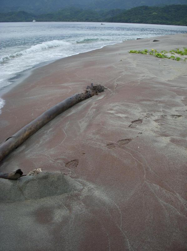 Granatsandstrand auf Goodenough Island, Papua-Neuguinea: Die Granate stammen aus Gesteinen wie "Gneis" (eine Art metamorphes Gestein, das durch hohe Temperaturen und hohen Druck entsteht) und werden dann als Sandkörner am Strand abgelagert.  