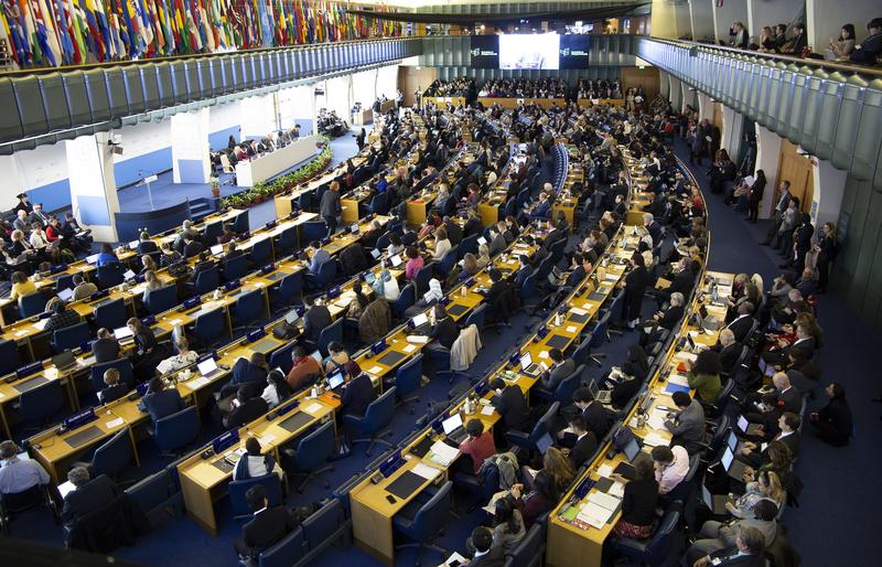 The global biodiversity strategy is currently being renegotiated (here at the Open-ended Working Group on the Post-2020 Global Biodiversity Framework, Feb. 2020 in Rome)