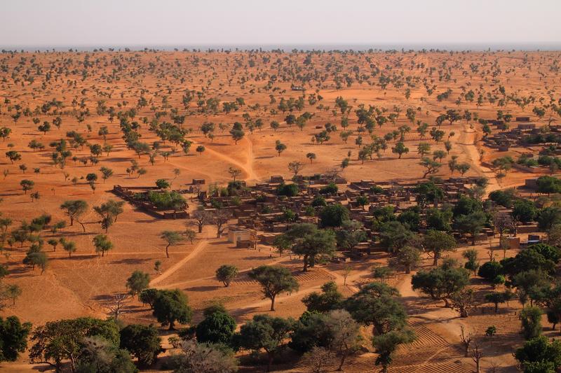 Die Landschaft nahe Bandiagara (Mali) zeigt eine Vielzahl an freistehenden Bäumen, die von bisherigen Baumzählungsmethoden nicht erfasst werden.