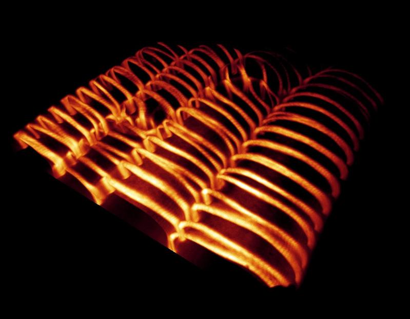 Visualisierung der widerstandsfähigen Zellwände des pflanzlichen Gefäßsystems,  die sich in filigranen Band- und Spiralmustern um die Zellen winden.