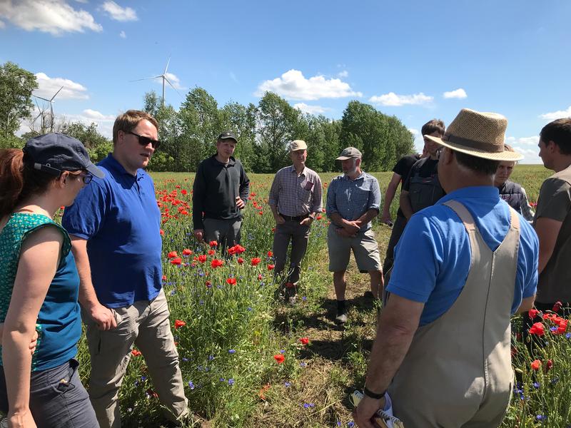 Austausch auf dem Feld: Landwirt*innen und Wissenschaftler*innen der HNEE treffen sich auf dem Acker, um sich zu möglichen Schritten zur Verbesserung der Biodiversität zu beraten.