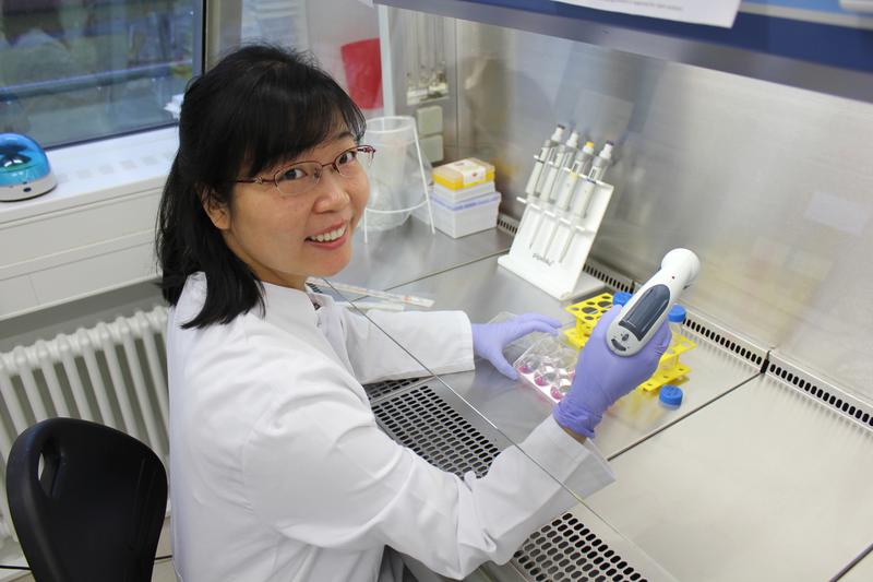 Die Biomedizinerin Ruping Chen (PhD) charakterisiert im Deutschen Zentrum für Herzinsuffizienz LEMD2 Mutationen im Stammzellenmodell.  