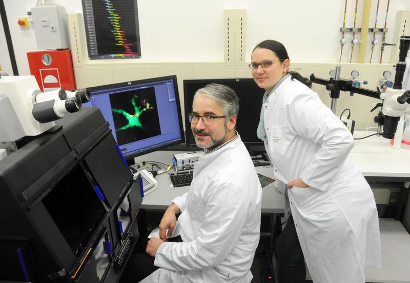 Dipl.-Ing. Jan Dudeck and Prof. Dr. Anne Dudeck, Institute for Molecular and Clinical Immunology, Medical Faculty Magdeburg (f.l.)