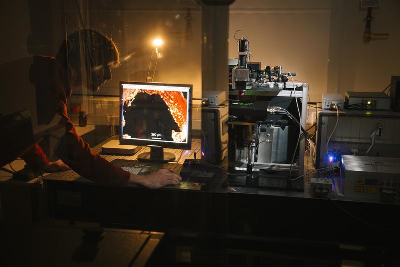 Wissenschaftlerinnen und Wissenschaftler am Leibniz-IPHT erforschen laserbasierte, multimodale Bildgebungsverfahren, um Biomoleküle in Zellen, Geweben und Organen darzustellen. 
