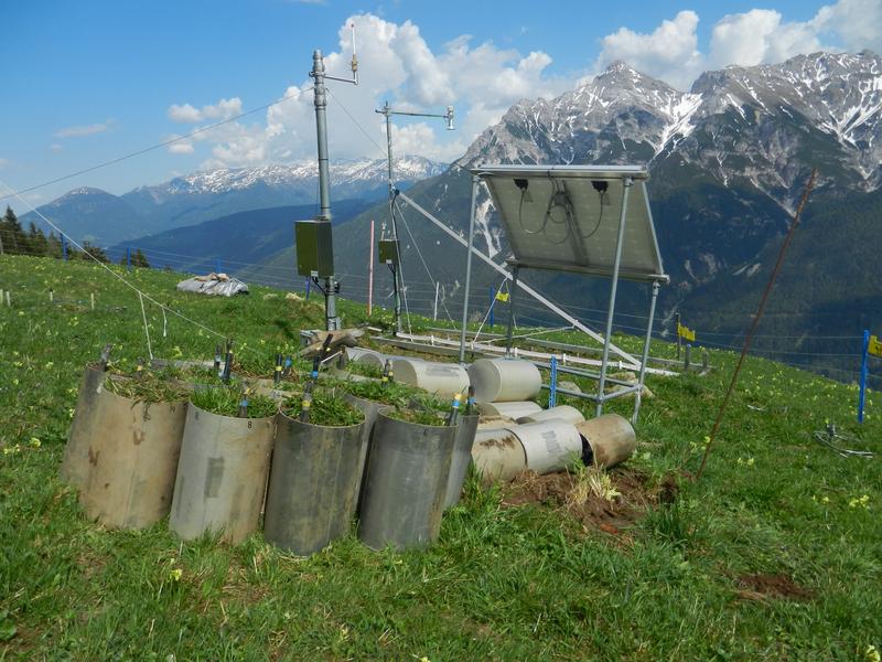 Die 16 Bodenblöcke, auch Grünlandmonolithe genannt, stammen von der Kaserstattalm im Tiroler Stubaital - einem Standort für Langzeit-Ökosystemforschung.
