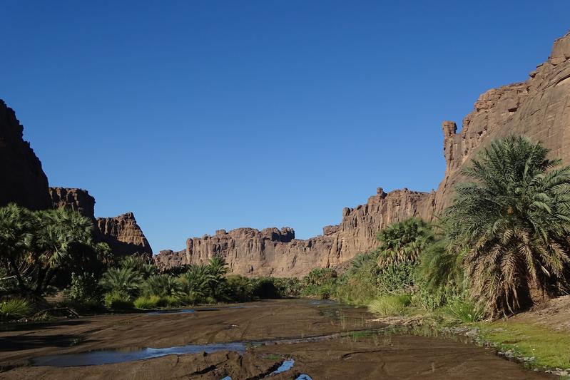 Date and Hyphaene palms against a backdrop of sandstone rocks in the valley of Dobohor in the western Tibesti. As in other valleys of the Tibesti, horticulture, now largely forgotten, used to be conducted here on a significant scale. 