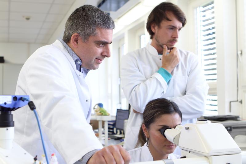 Professor Denis Schewe, Dr Fotini Vogiatzi and Dr Lennart Lenk (left to right) are investigating the role of the signaling molecule CD79a in leukemia attacking the central nervous system.